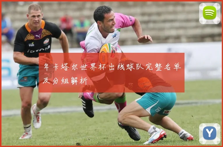 年卡塔尔世界杯出线球队完整名单及分组解析