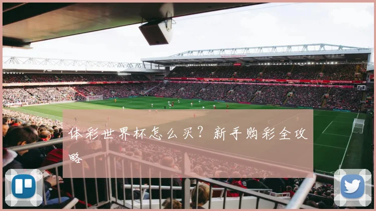 体彩世界杯怎么买？新手购彩全攻略