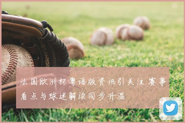 法国欧洲杯粤语版资讯引关注 赛事看点与球迷解读同步升温