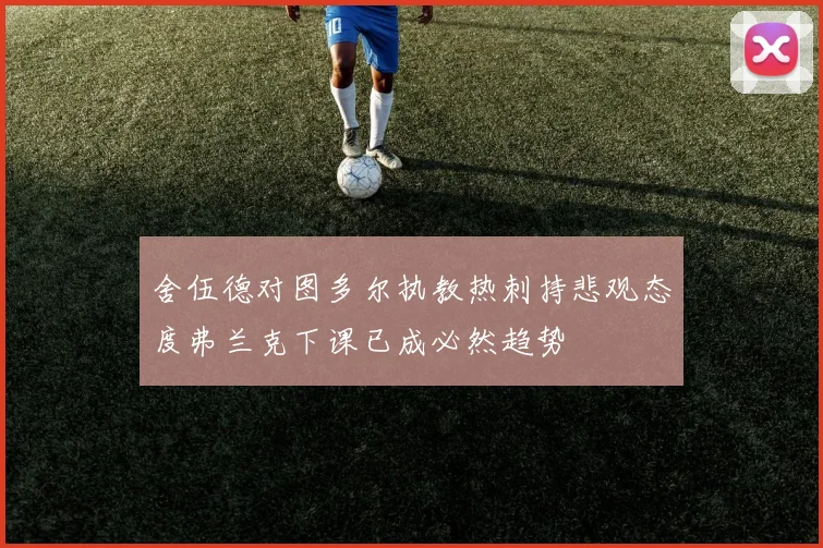 舍伍德对图多尔执教热刺持悲观态度弗兰克下课已成必然趋势