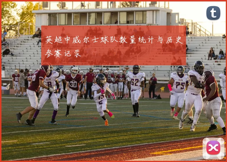 英超中威尔士球队数量统计与历史参赛记录