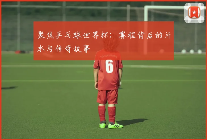 聚焦乒乓球世界杯：赛程背后的汗水与传奇故事