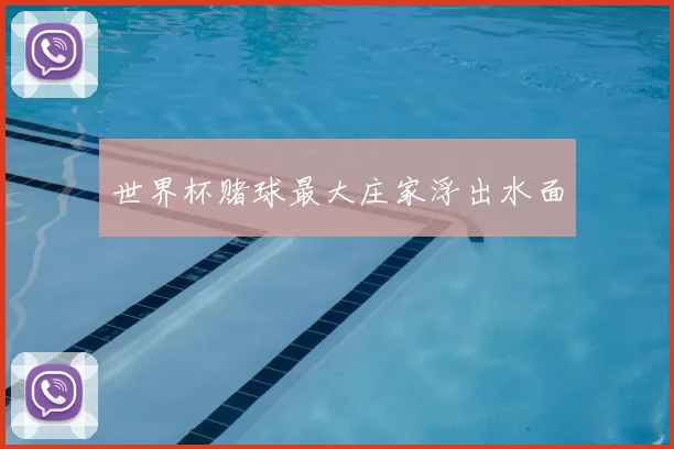 世界杯赌球最大庄家浮出水面