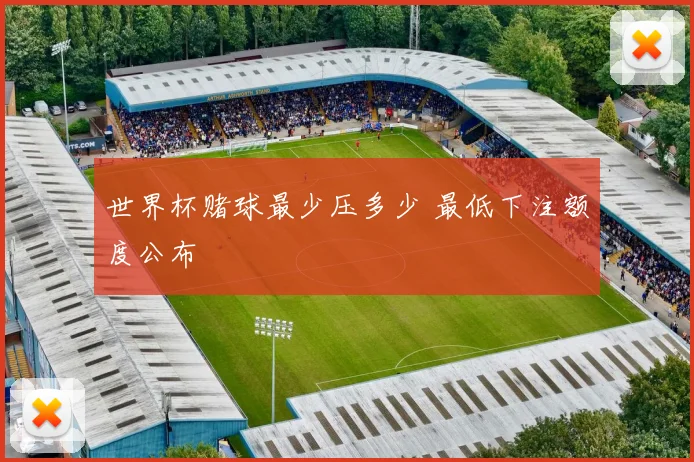 世界杯赌球最少压多少 最低下注额度公布
