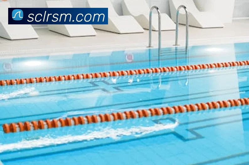 买球官网APP 高清赛事图